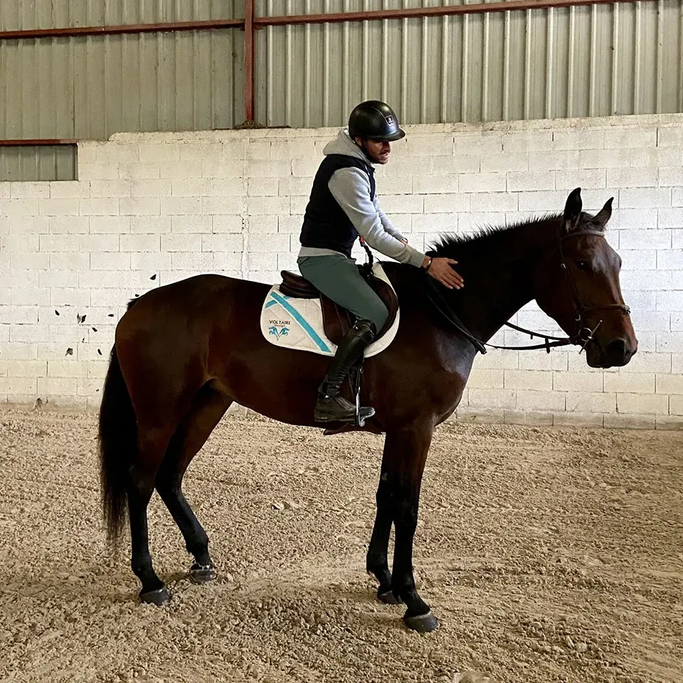 Coaching concours chevaux à Daix