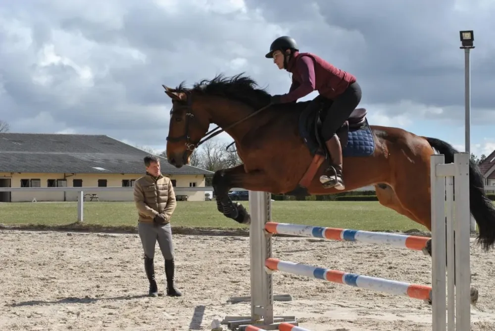 Cours d'équitation à Daix