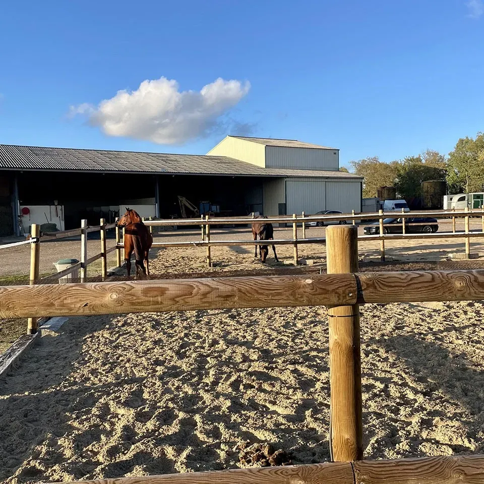 PADDOCK-SABLE