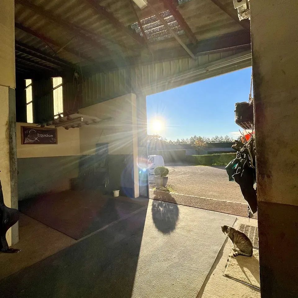 Solarium