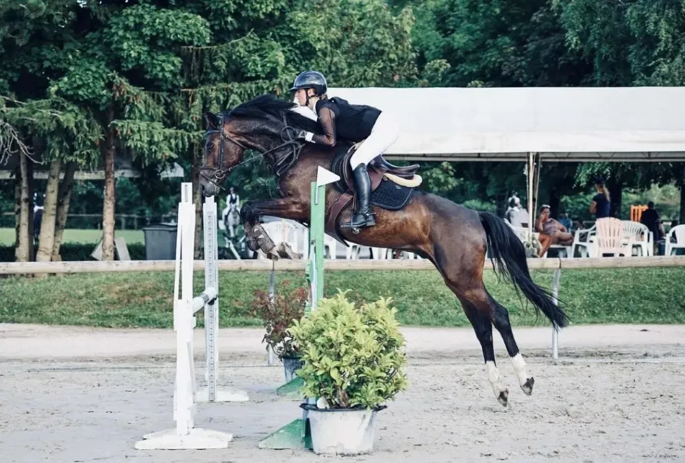 Concours chevaux à Daix